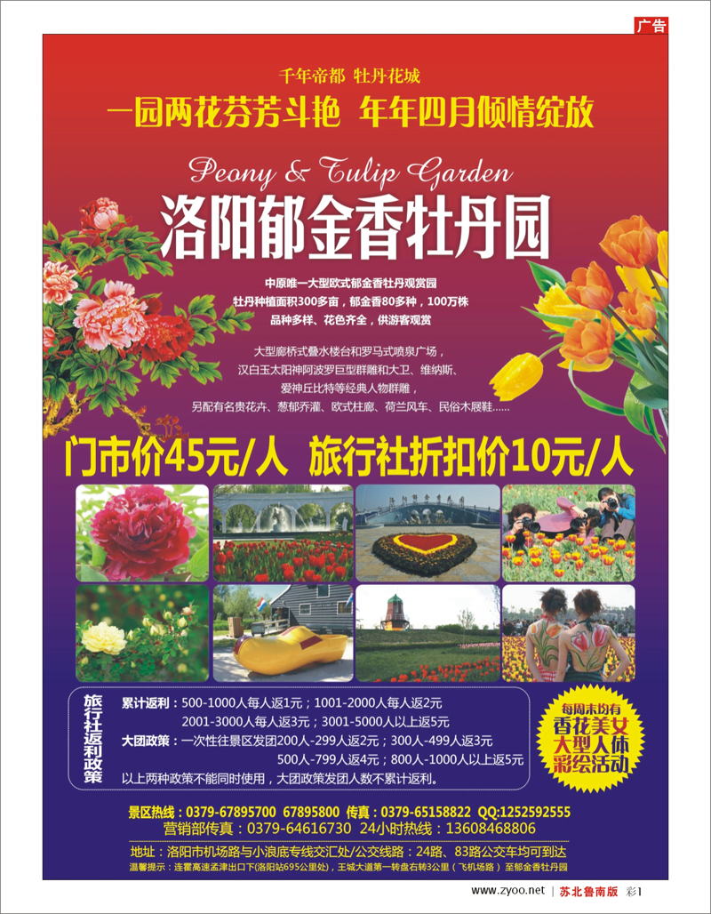 彩1 河南.山西.陕西.宁夏.青海.新疆.内蒙篇 洛阳郁金香牡丹园