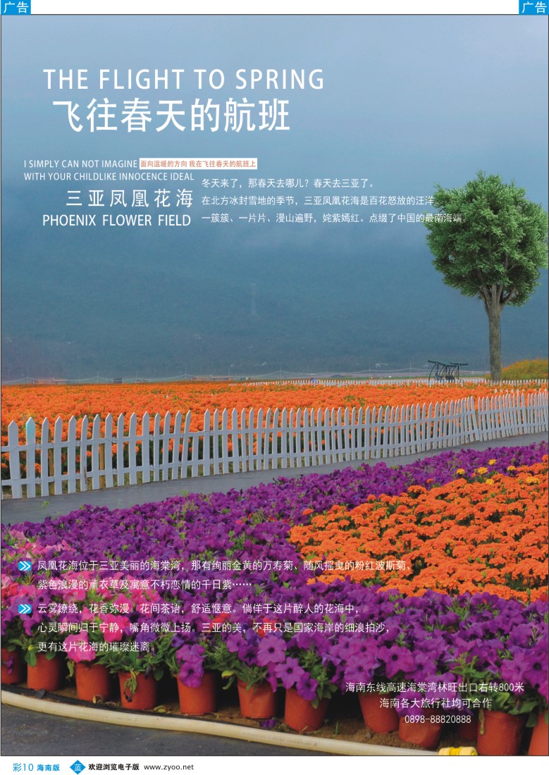 bc10 三亚凤凰花海海南版