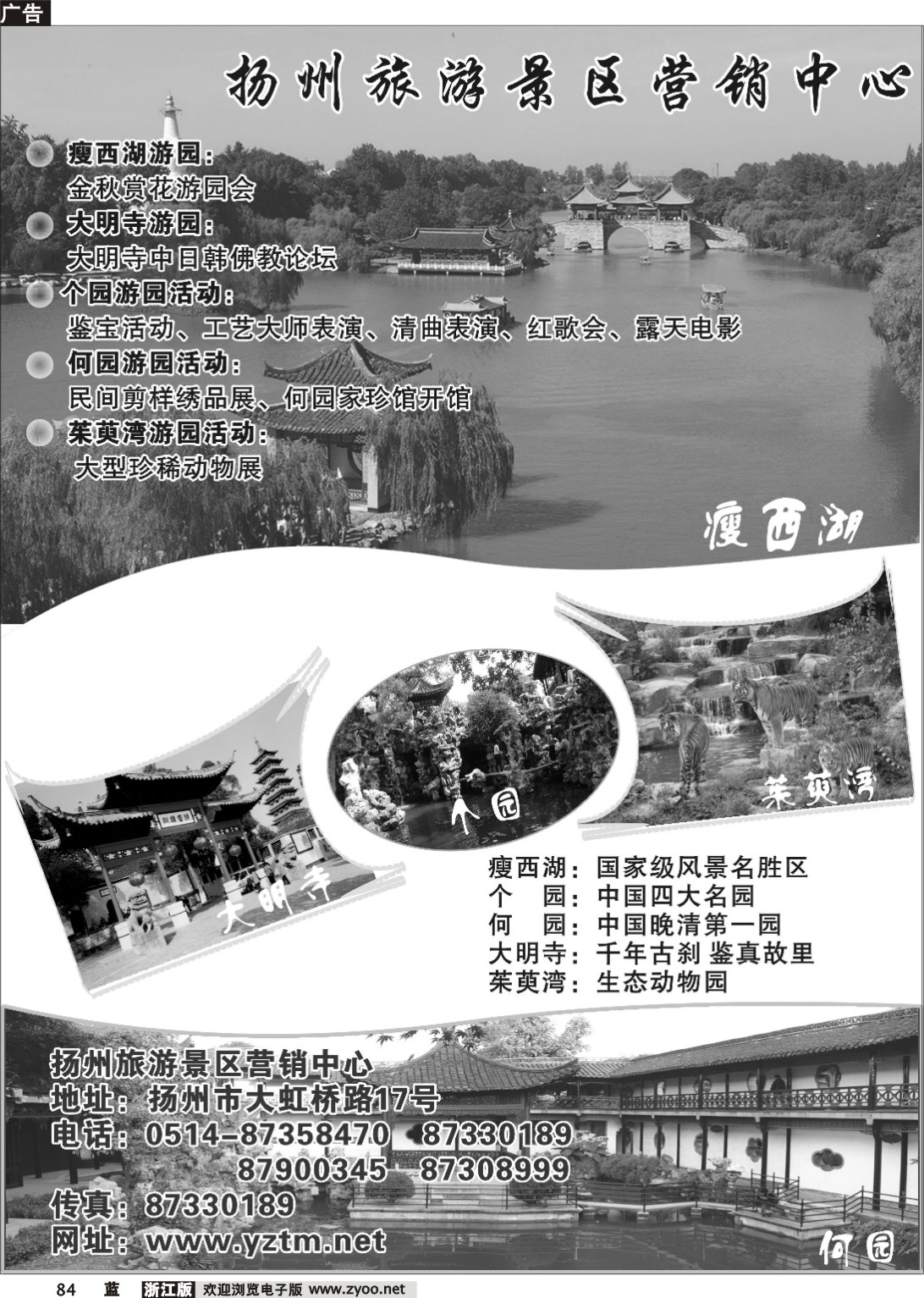 84  244期 殷花 扬州景区营销中心（湖北+上海+山东济南+浙江）
