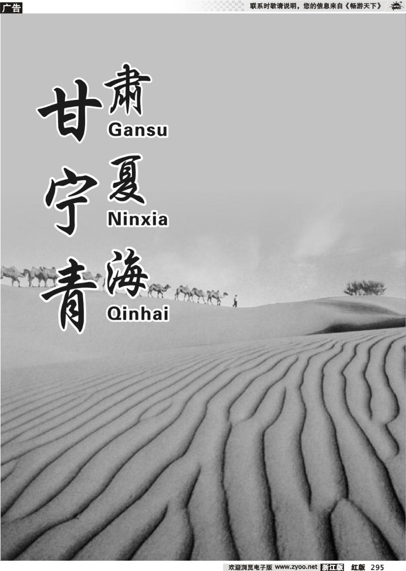 295 甘青宁专版