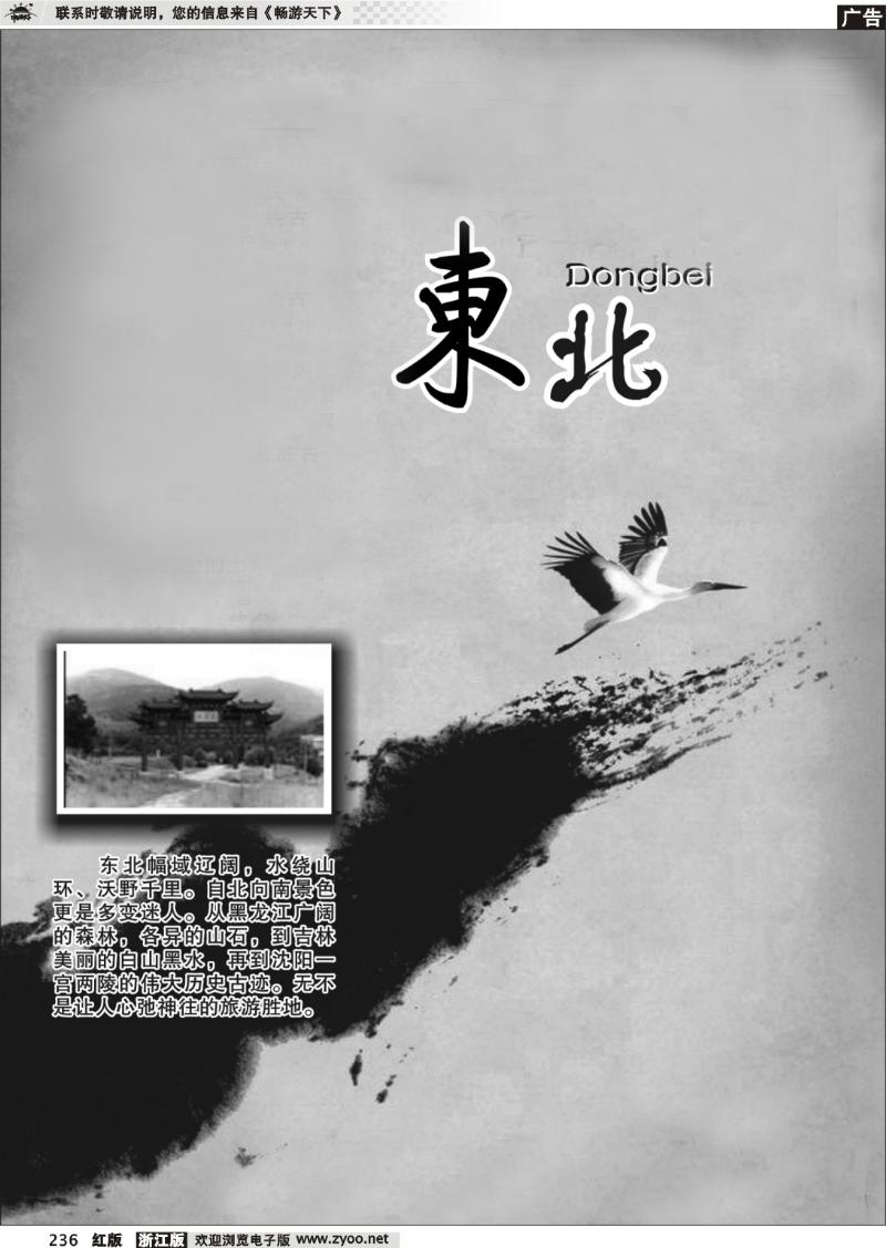 236 东北专版
