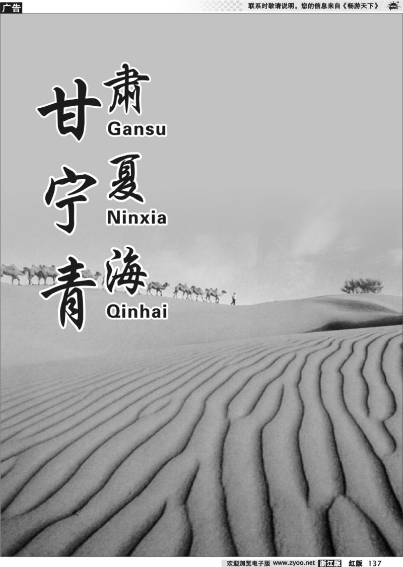 137 宁夏时尚国际旅行社有限公司