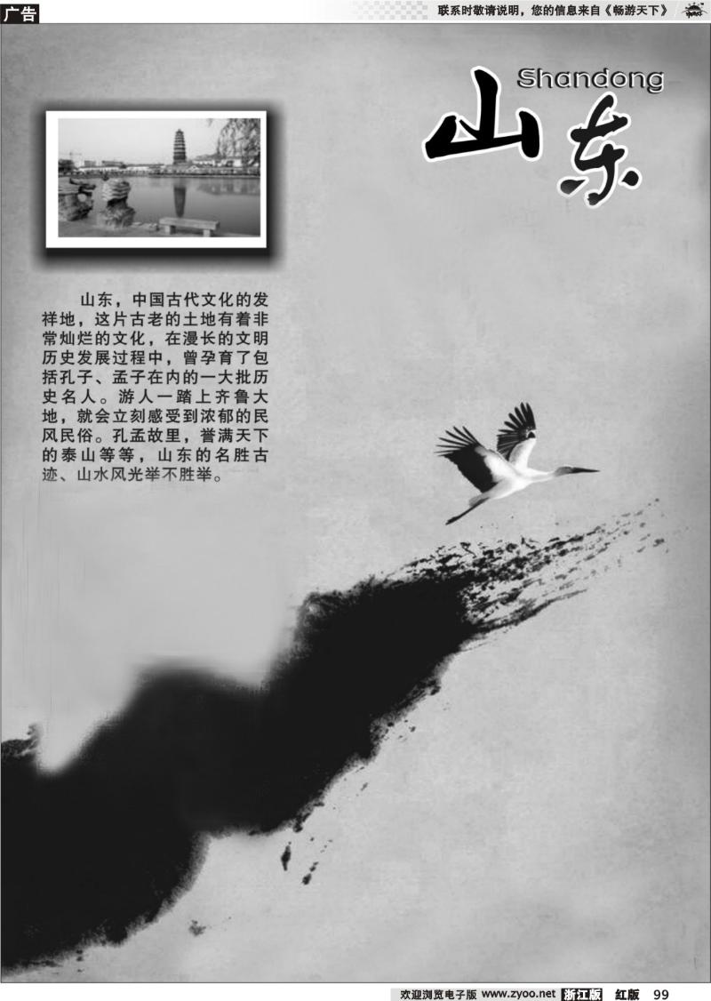 99 山东专版
