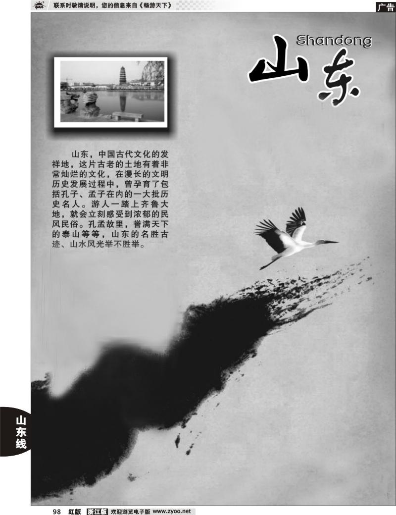 98 山东专版
