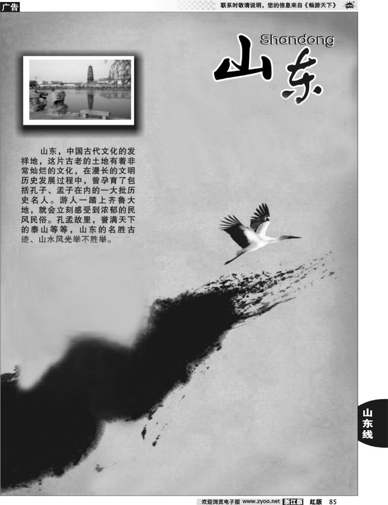 85 山东专版