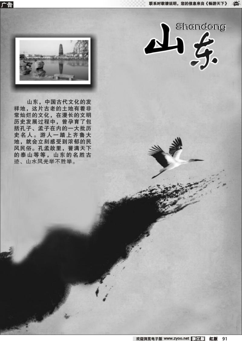 91 山东专版