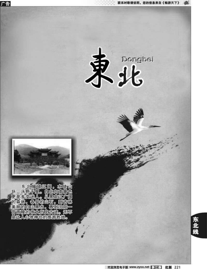 221  东北专版  