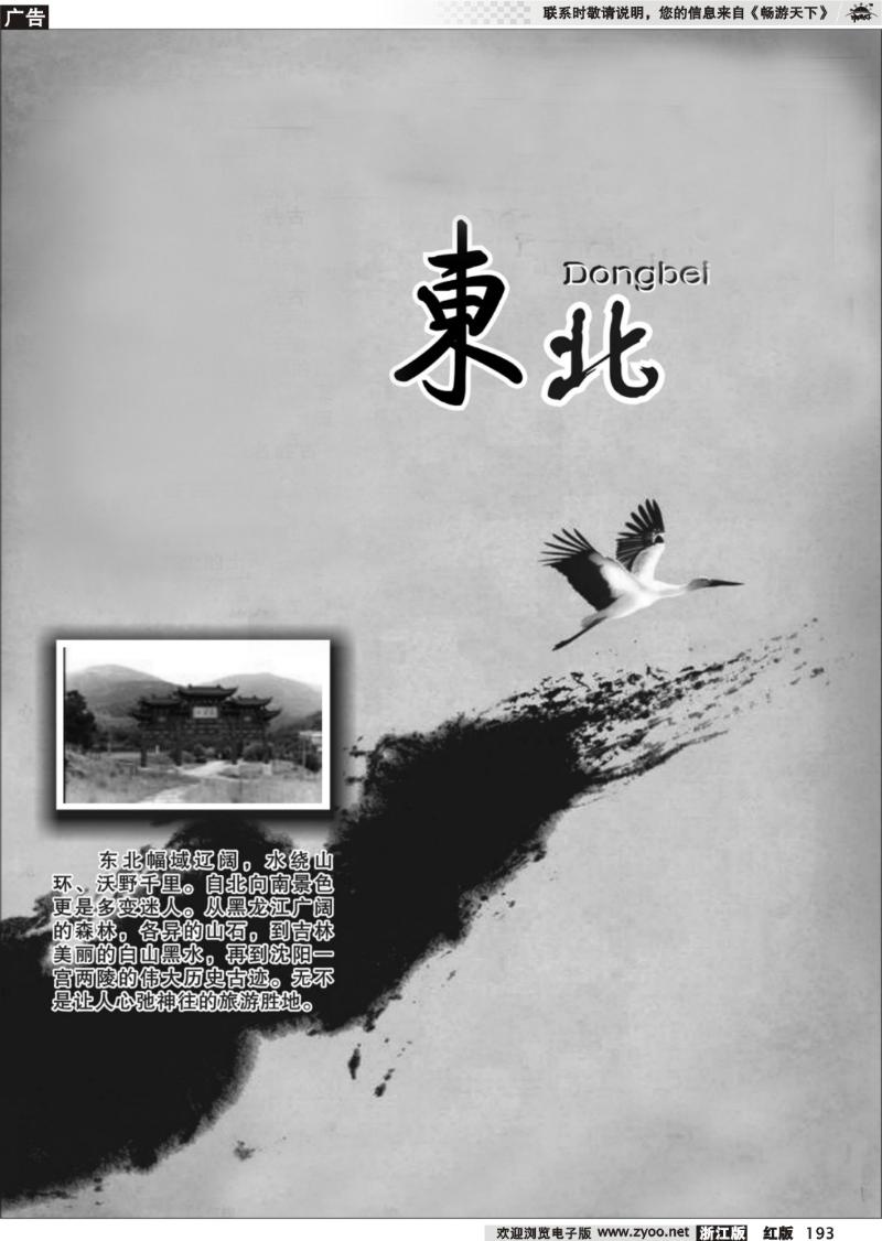193  东北专版 