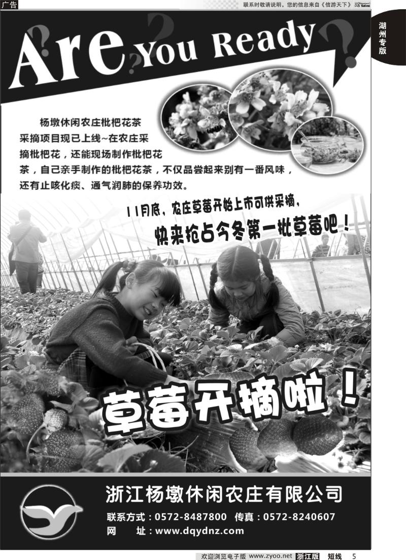 5 德清●杨墩农庄 ●草莓采摘