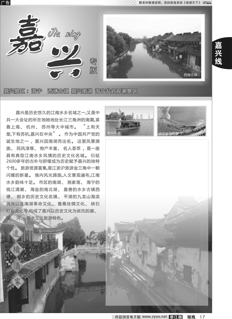 17 嘉兴专版