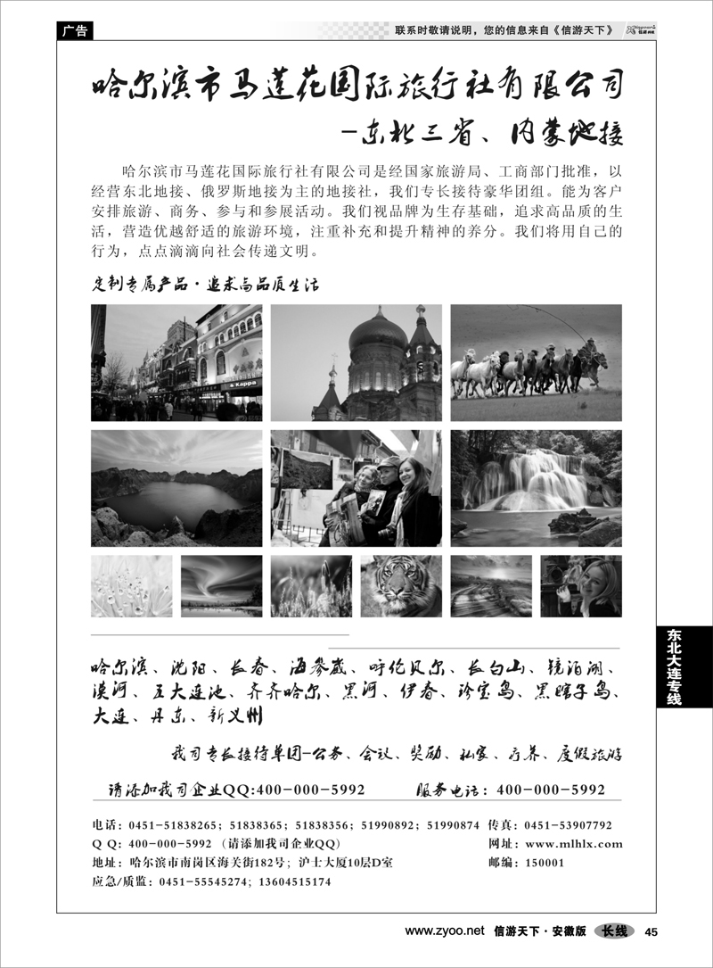 45 东北大连专线 哈尔滨市马莲花国际旅行社有限公司
