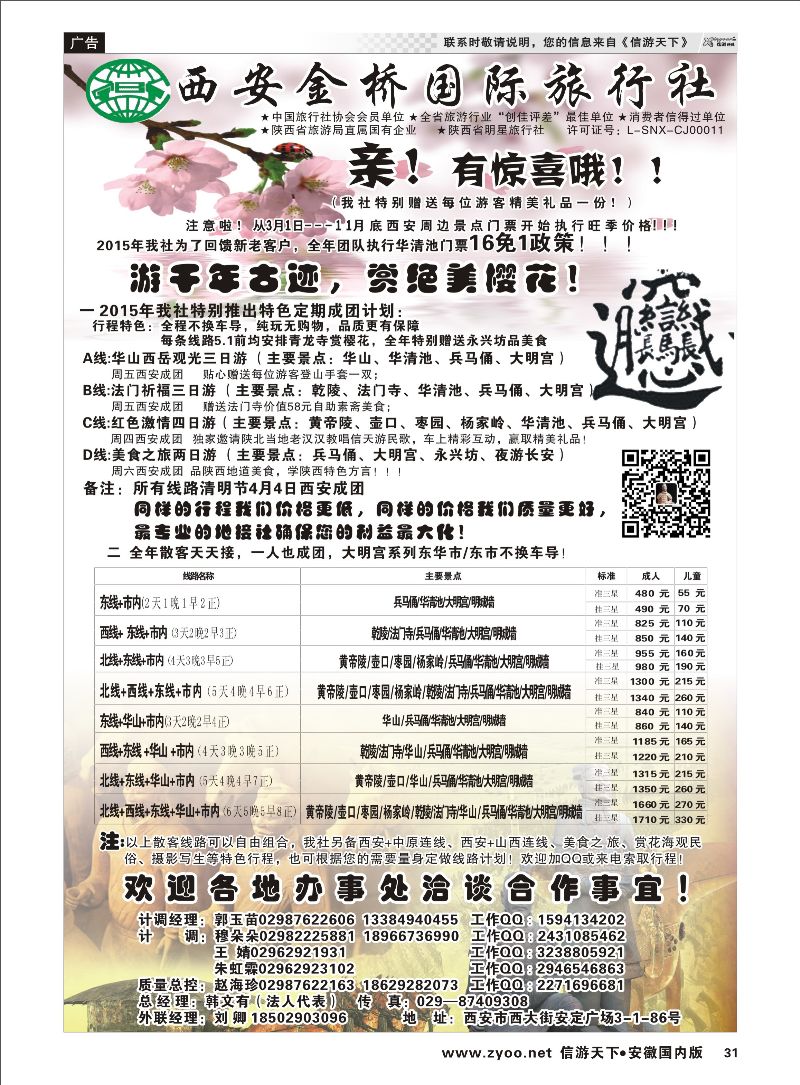 31 西安金桥国际旅行社 陕西专线