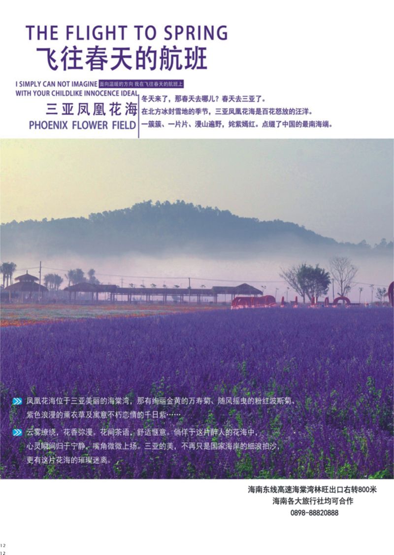 12 三亚凤凰花海