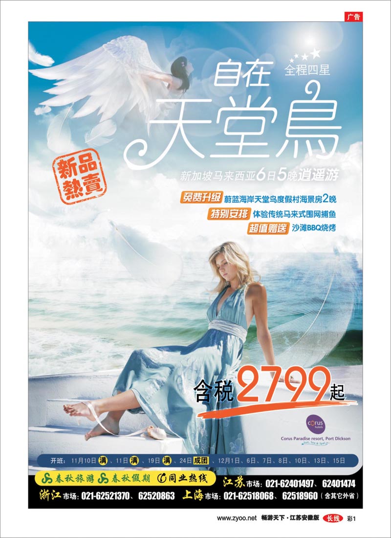 彩1 春秋假期·新品热卖——“自在天堂鸟”
