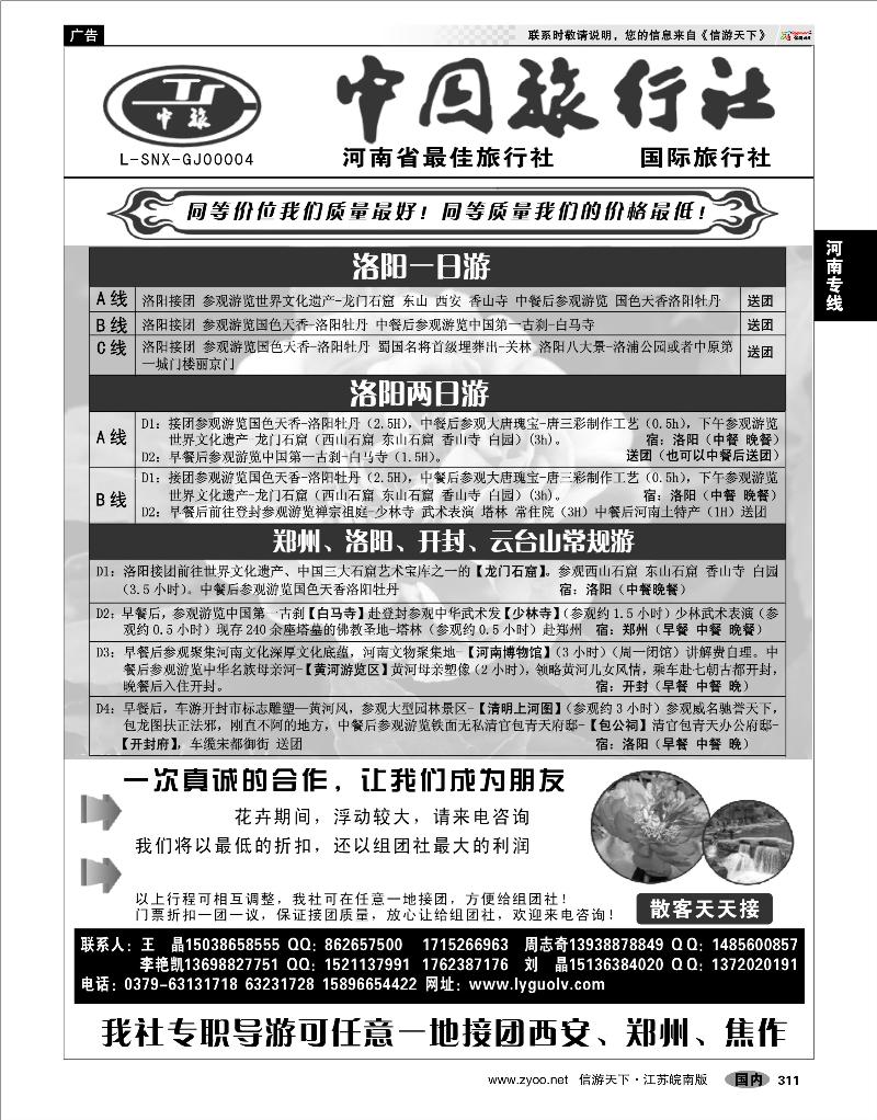 311 河南专线 洛阳中旅地接部--王晶