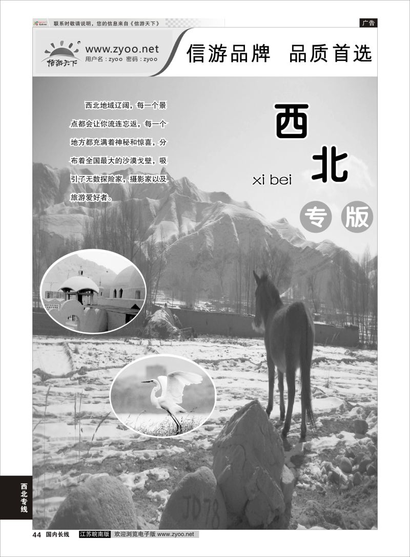 P44 西北专线