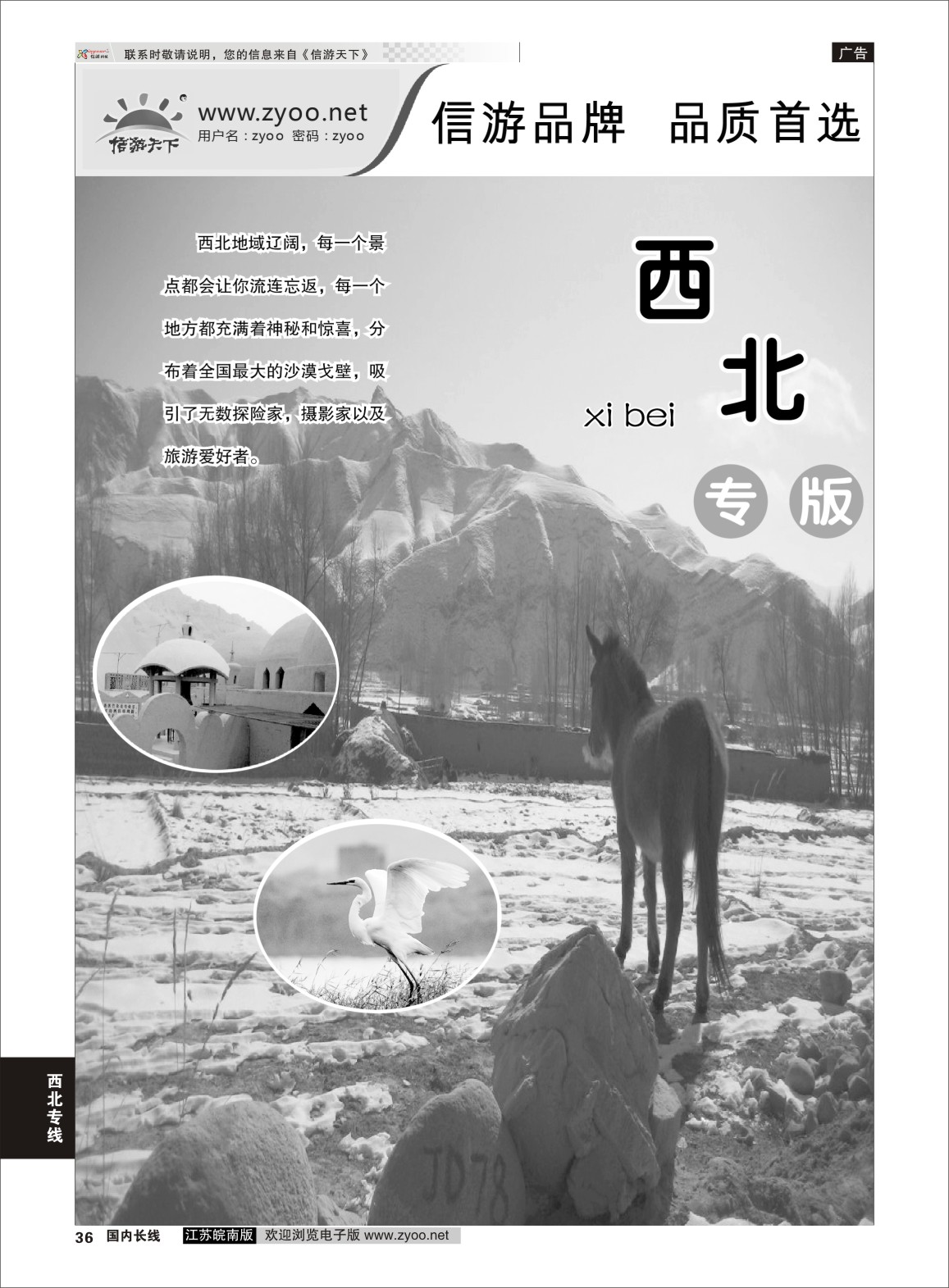 P36 西北专线