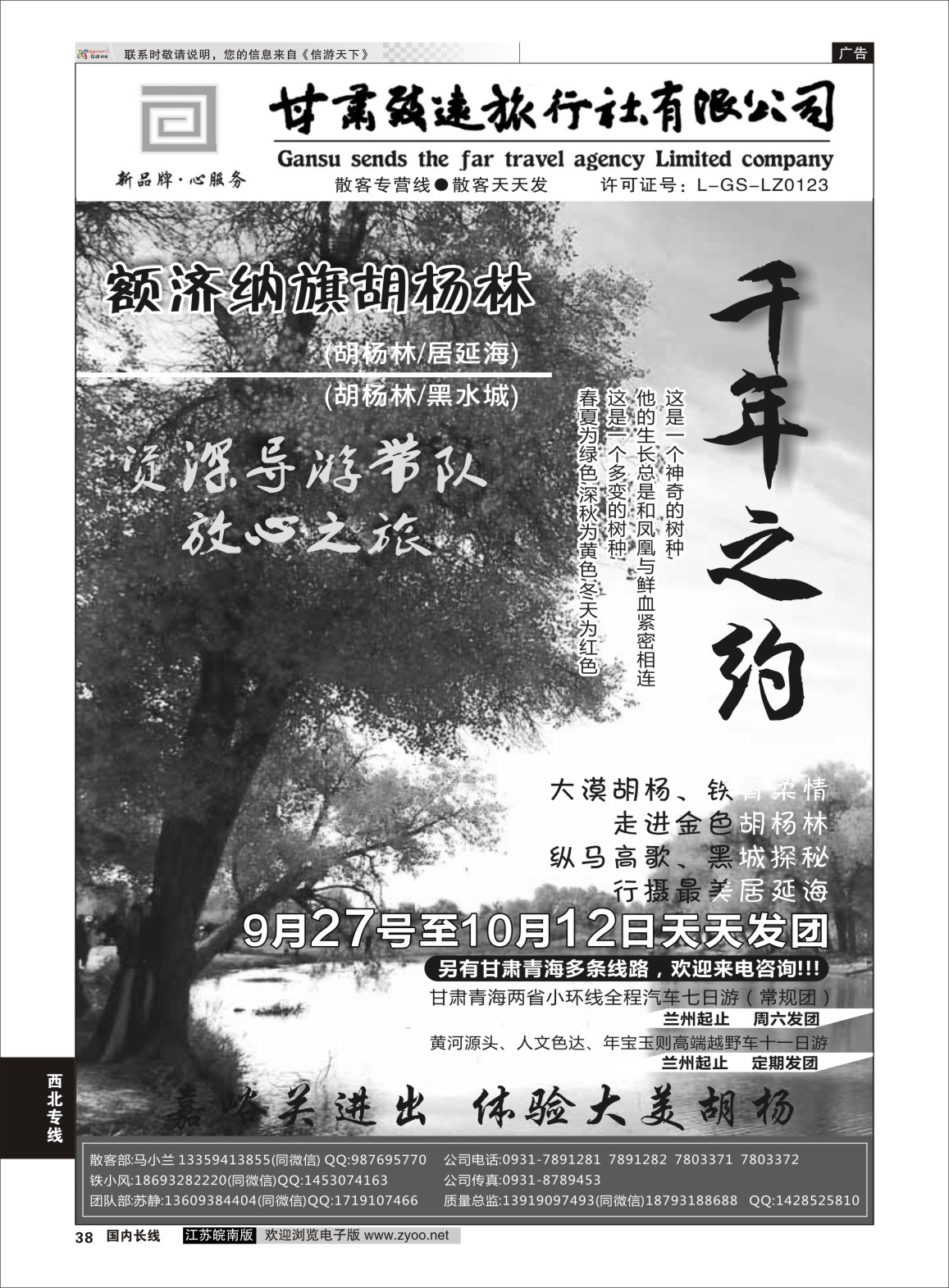 P38 胡杨林专线—甘肃致远旅行社  西北专线