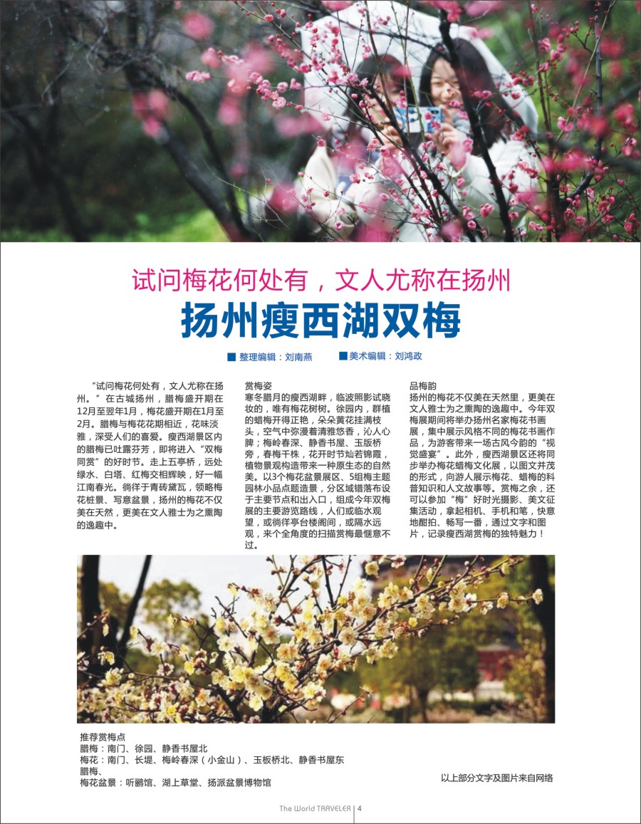 b扉04  试问梅花何处有，文人尤称在扬州——扬州瘦西湖双梅