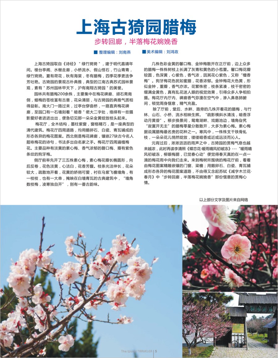 r扉05  步转回廊，半落梅花婉娩香——上海古猗园腊梅