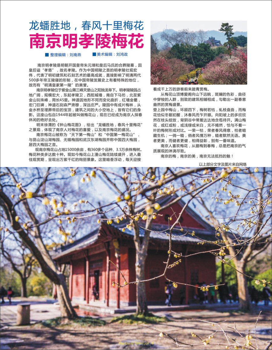 r扉08  龙蟠胜地，春风十里梅花——南京明孝陵梅花