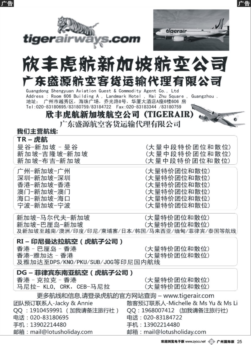b025 欣丰虎新加坡航空公司