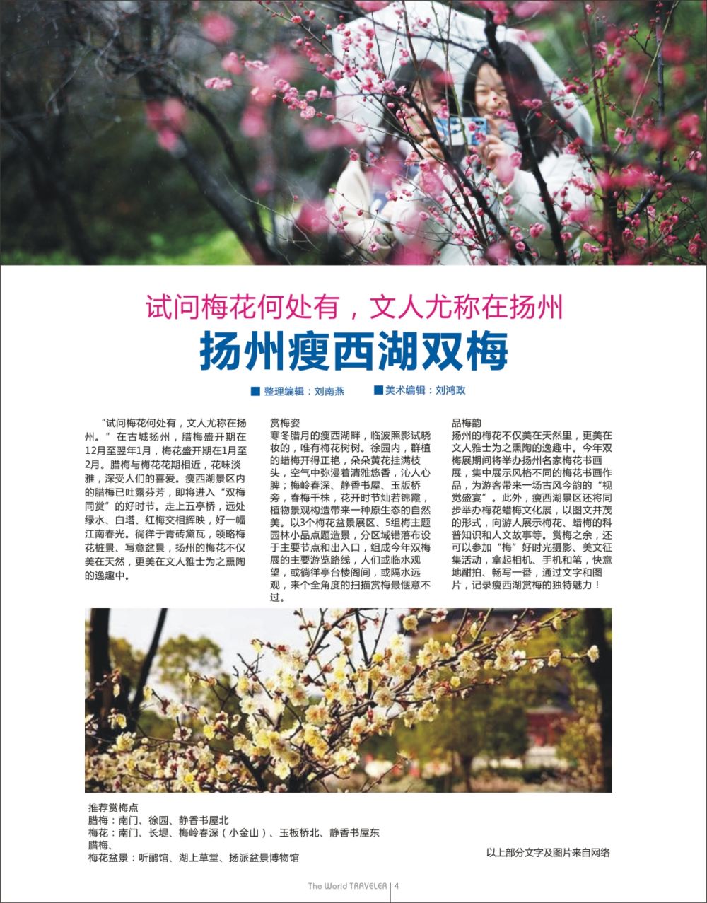 扉4 试问梅花何处有，文人尤称在扬州——扬州瘦西湖双梅04