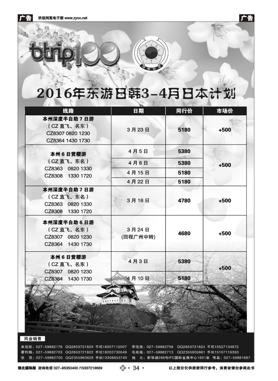 562JHN034武汉东游国际旅行社