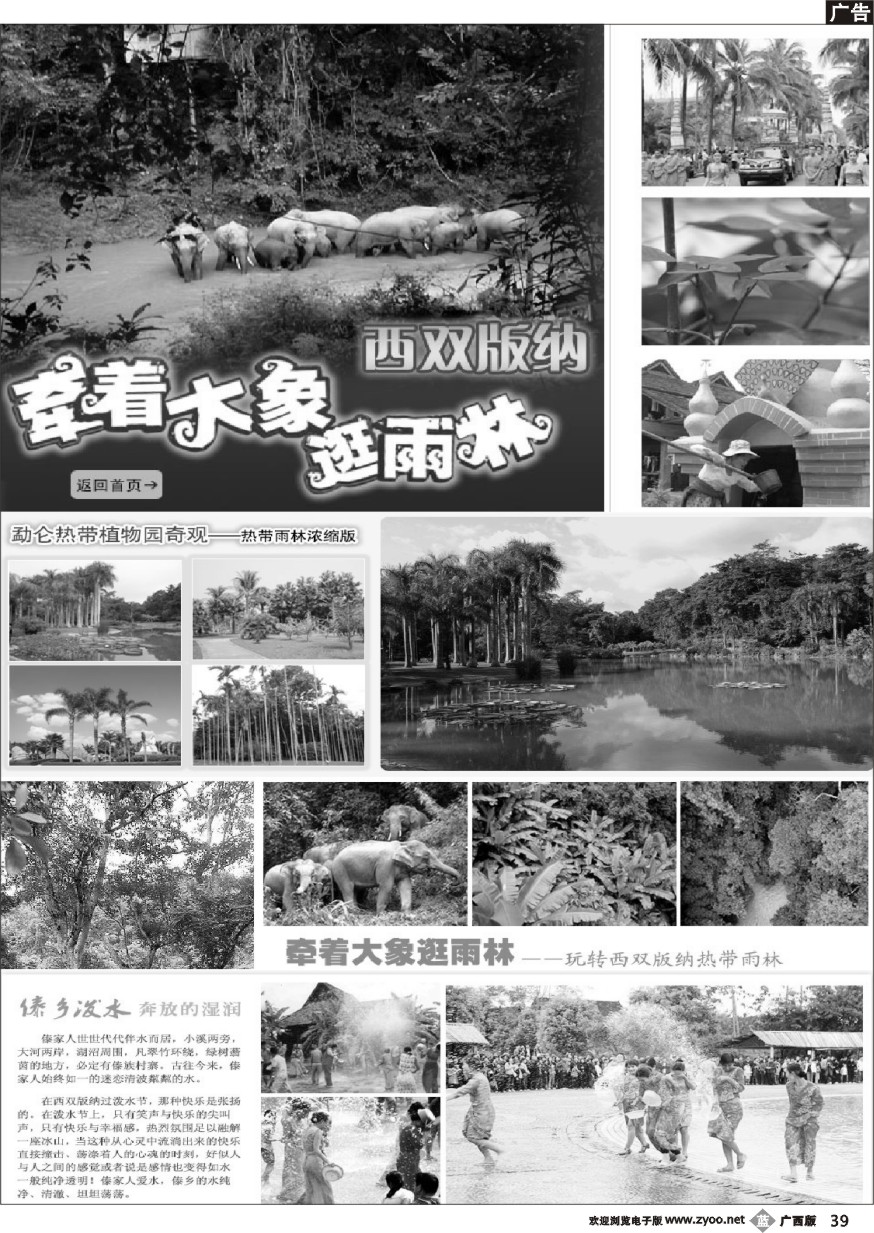 b399月中旬畅游天下云南专线大型广告计划