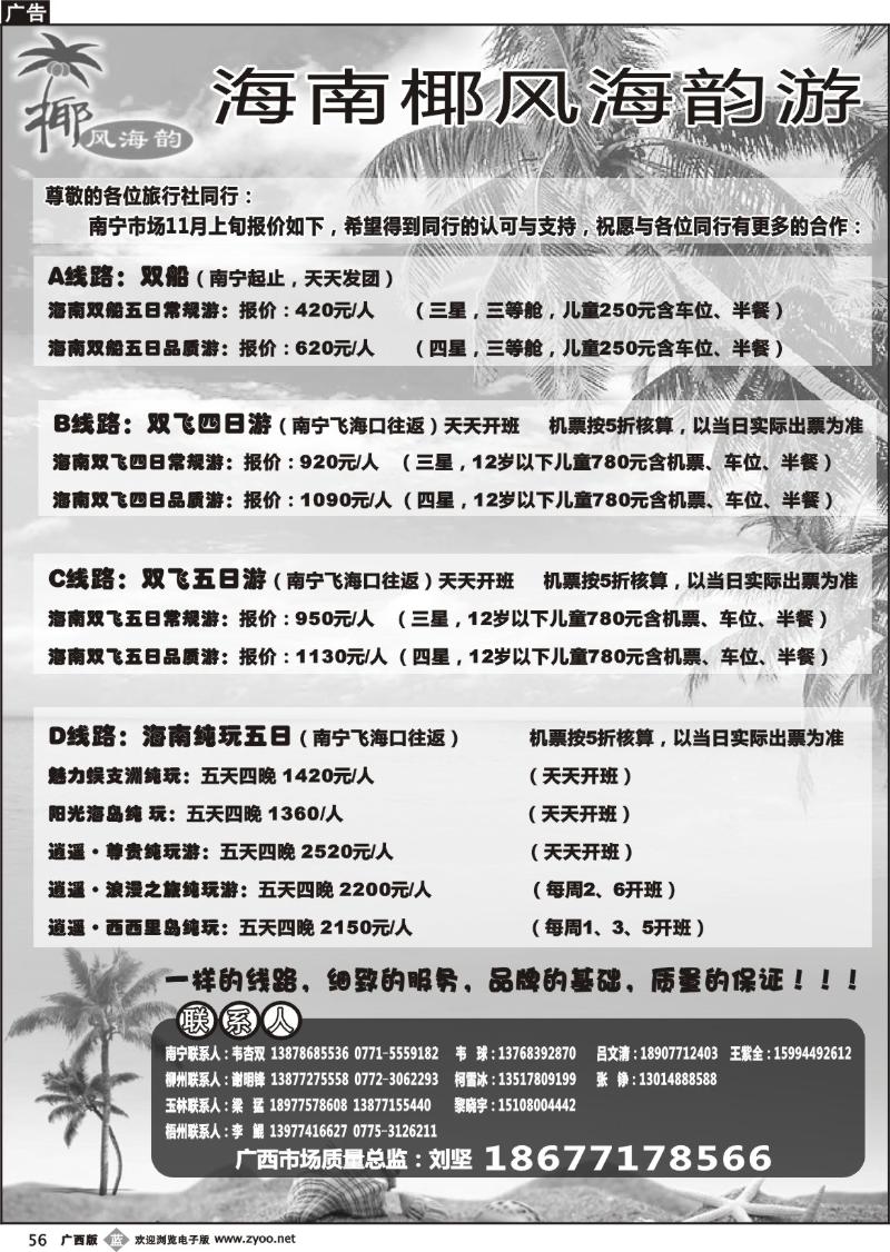 b56椰风海韵
