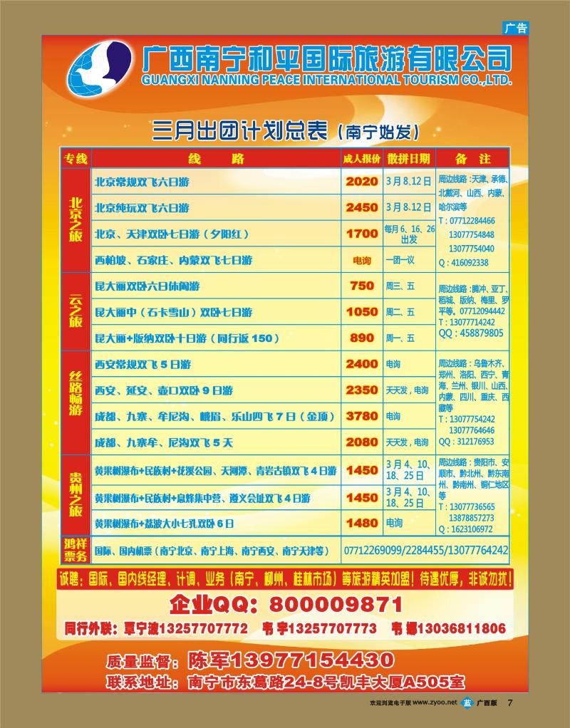 bb07广西南宁和平国际旅游有限公司