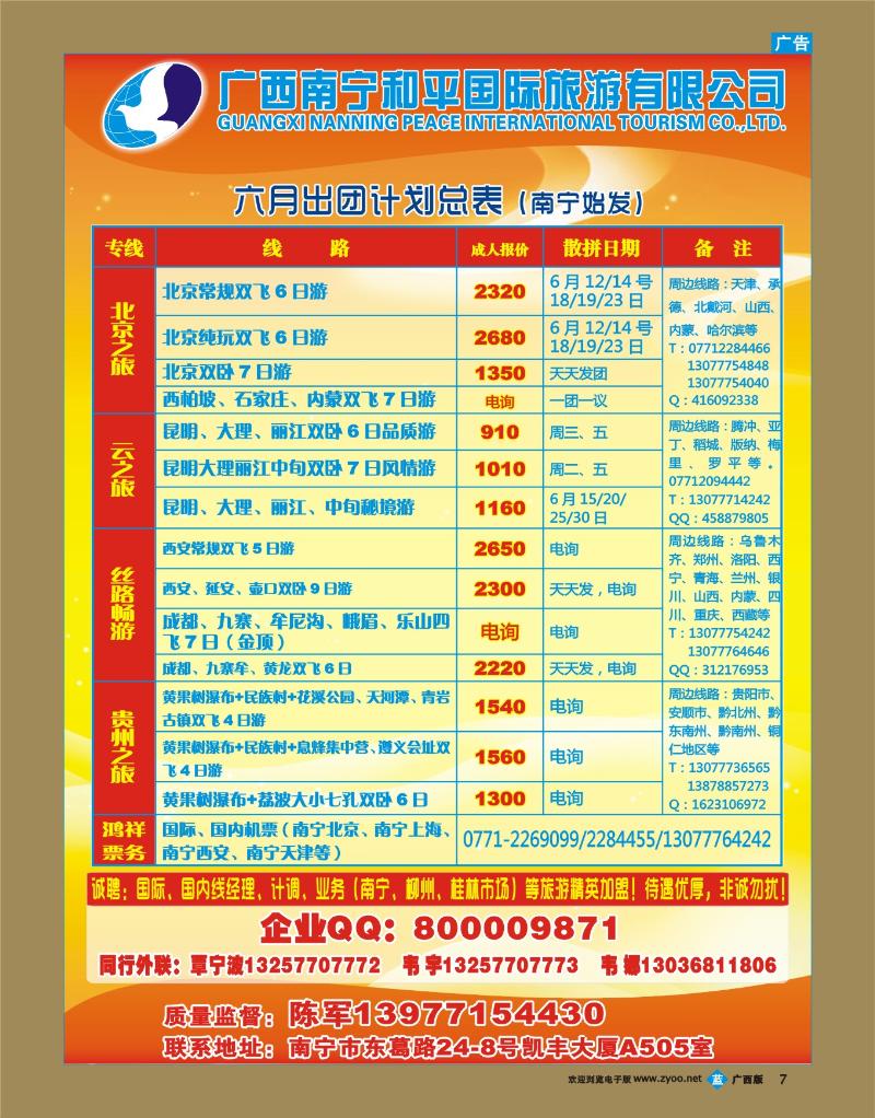 bb07广西南宁和平国际旅游有限公司