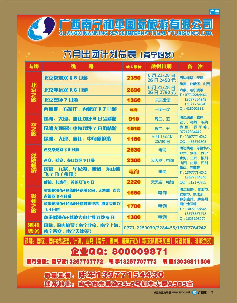 bb07广西南宁和平国际旅游有限公司