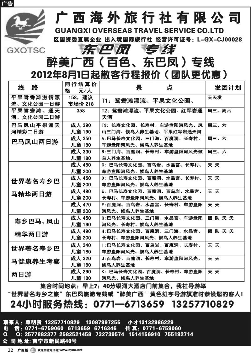 r22广西海外-东巴凤