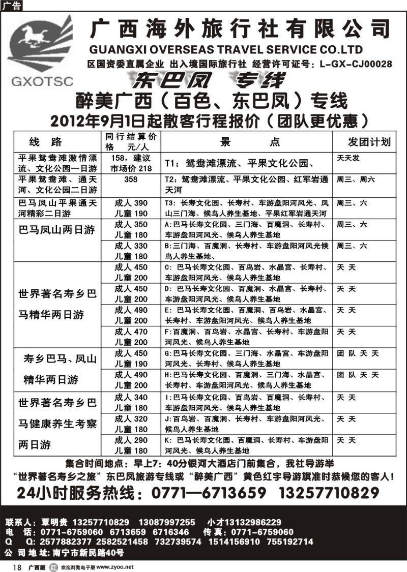 r18广西海外-东巴凤