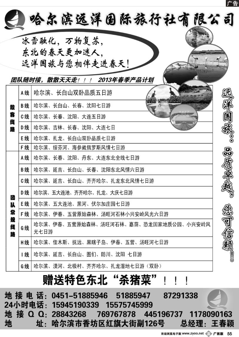 b55哈尔滨远洋国际旅行社