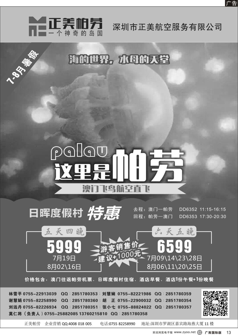 r13正美帕劳-澳门飞鸟