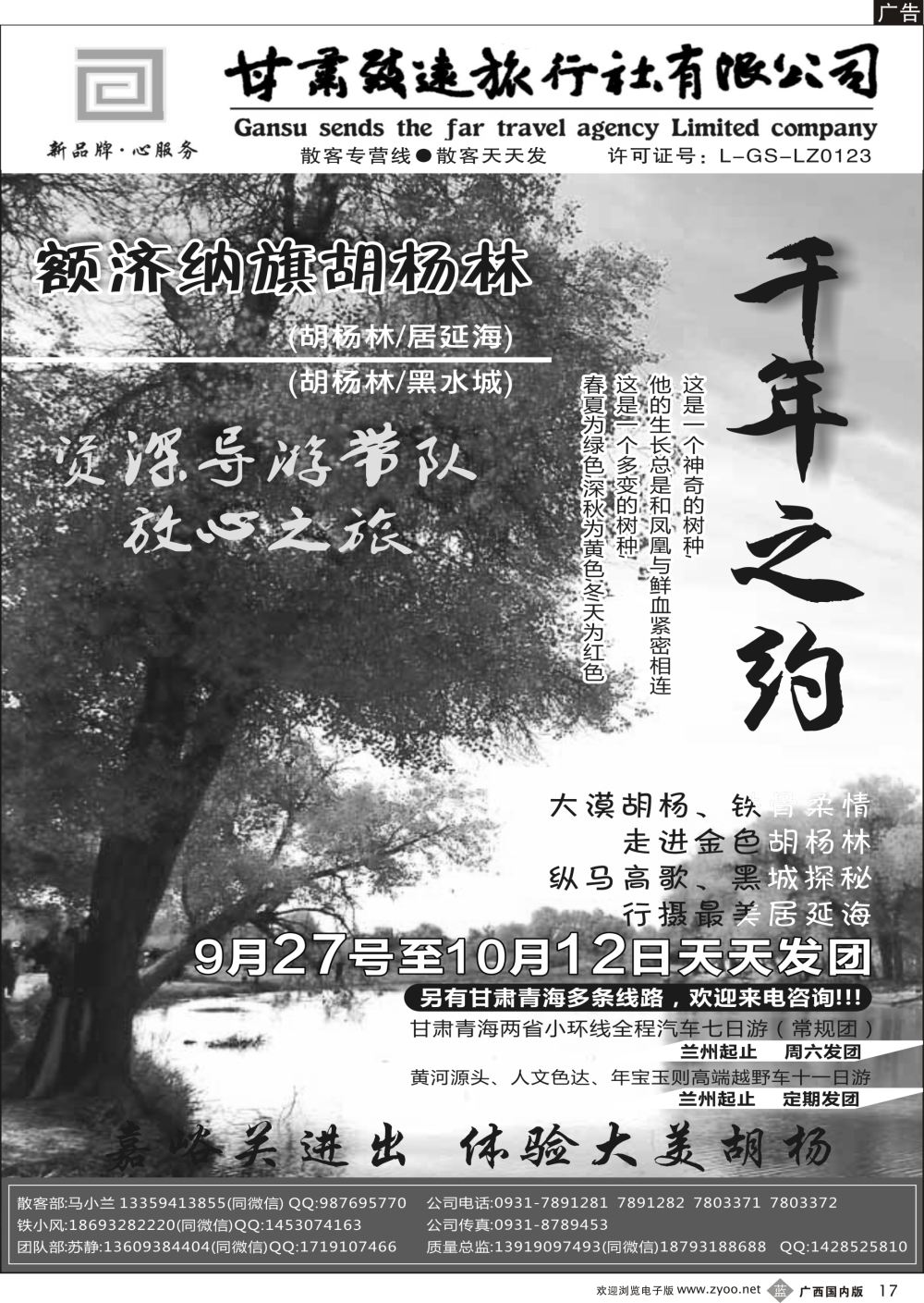 b17胡杨林专线—甘肃致远旅行社