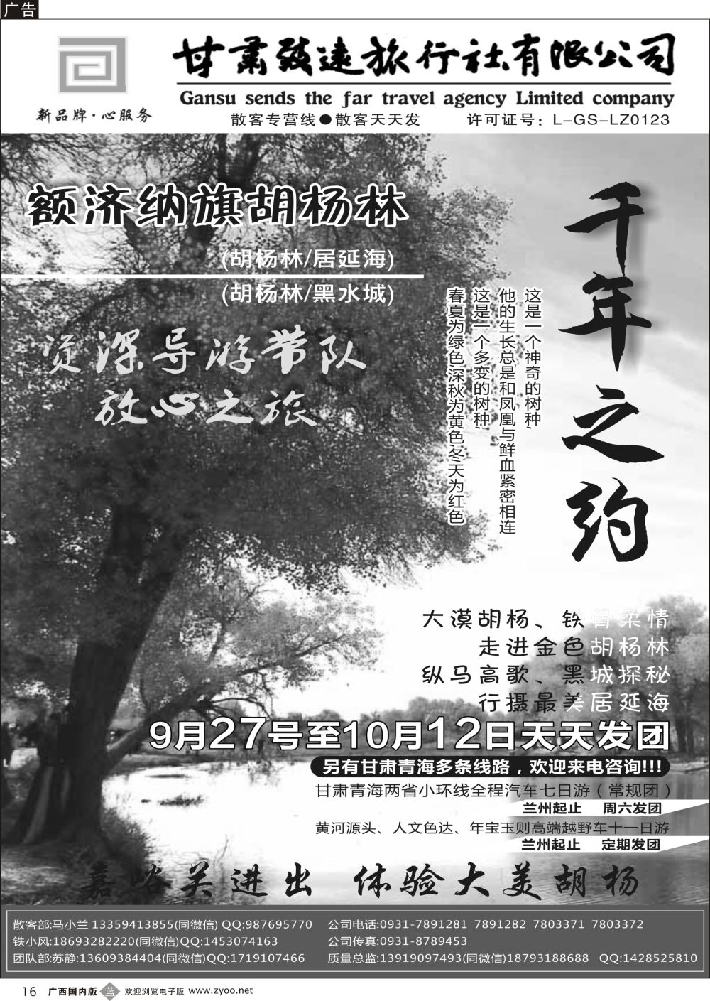 b16胡杨林专线—甘肃致远旅行社