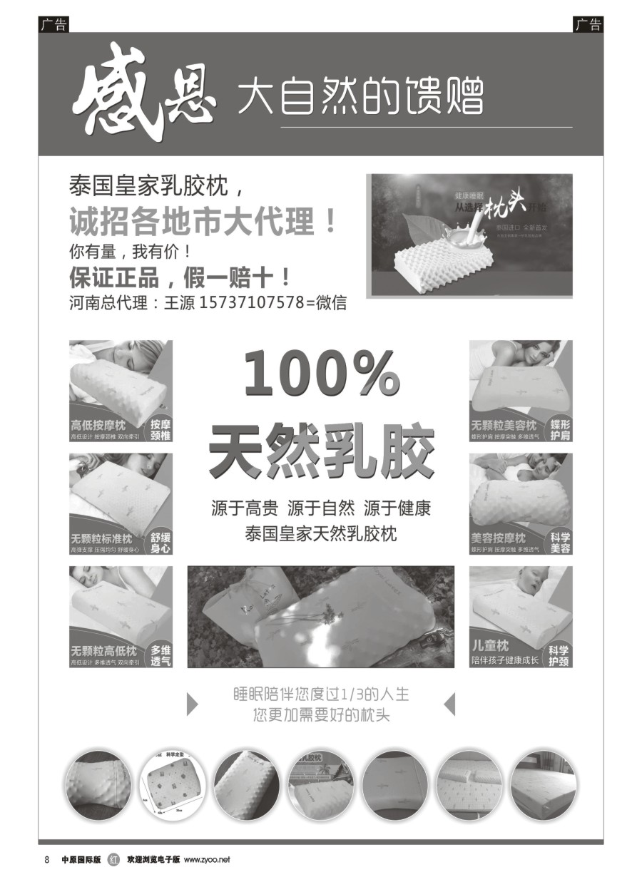 r008  泰国皇家乳胶枕—诚招各地市大代理