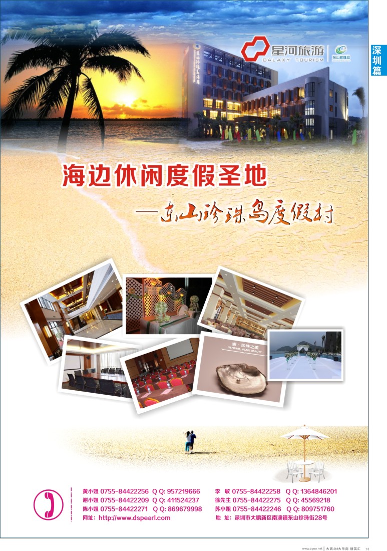d013  深圳市东山珍珠岛实业发展有限公司
