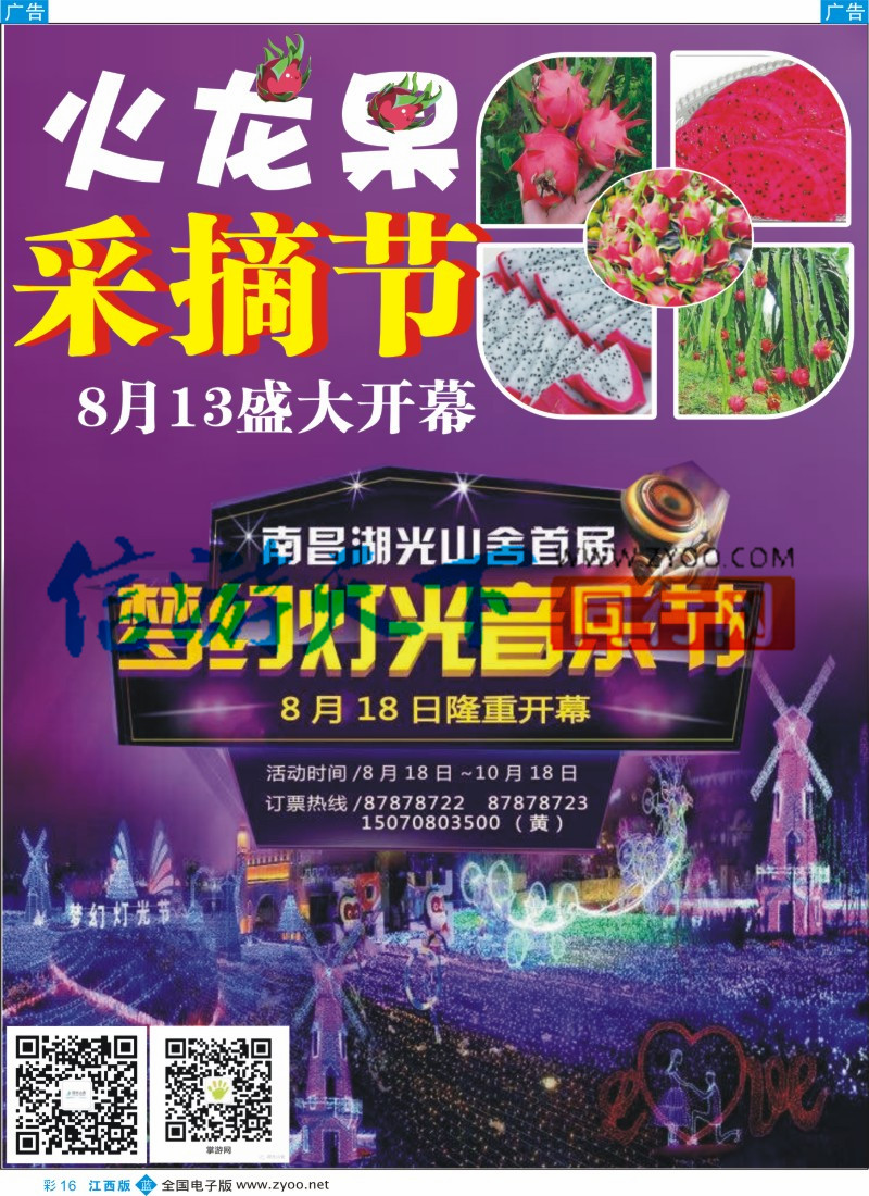 b彩016  湖光山舍火龙果采摘节，梦幻灯光音乐节