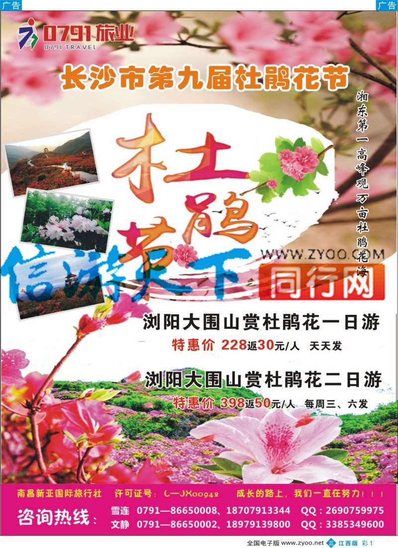 b彩001 0791旅游-湖南杜鹃花节