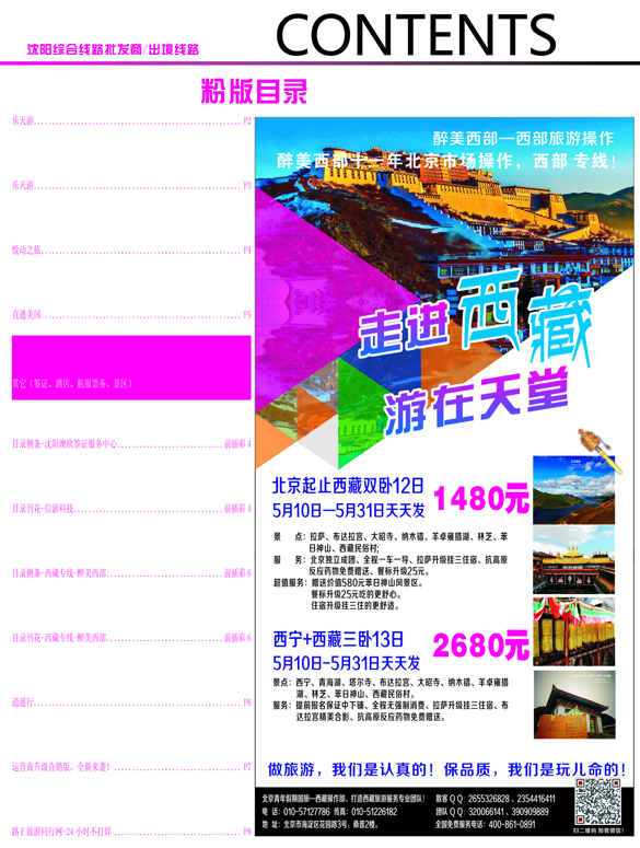 A彩-06前插彩6粉