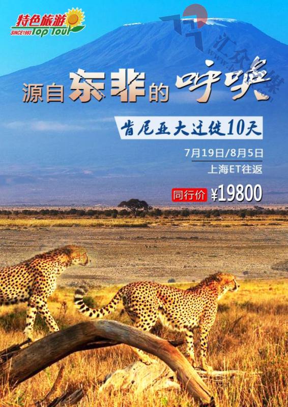 99.深圳特色国际旅行社