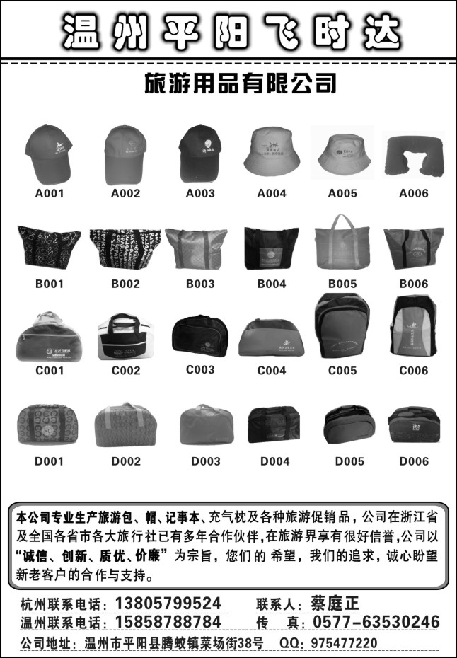 94.温州平阳飞时达旅游用品有限公司