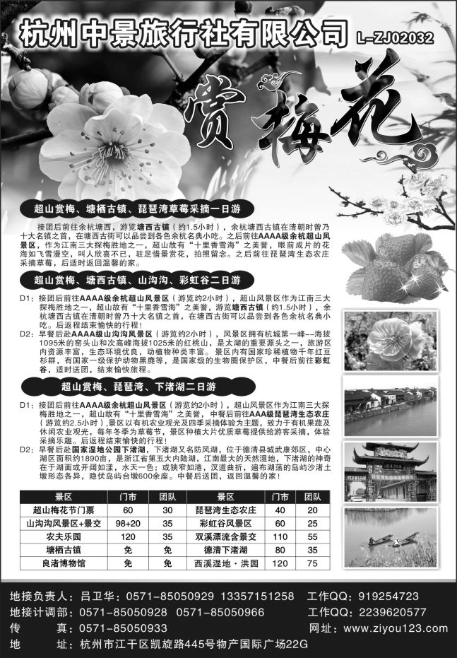 12.杭州中景旅行社超山赏梅●塘栖古镇●琵琶湾草莓采摘