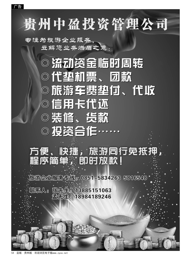 54  贵州中盈投资管理公司