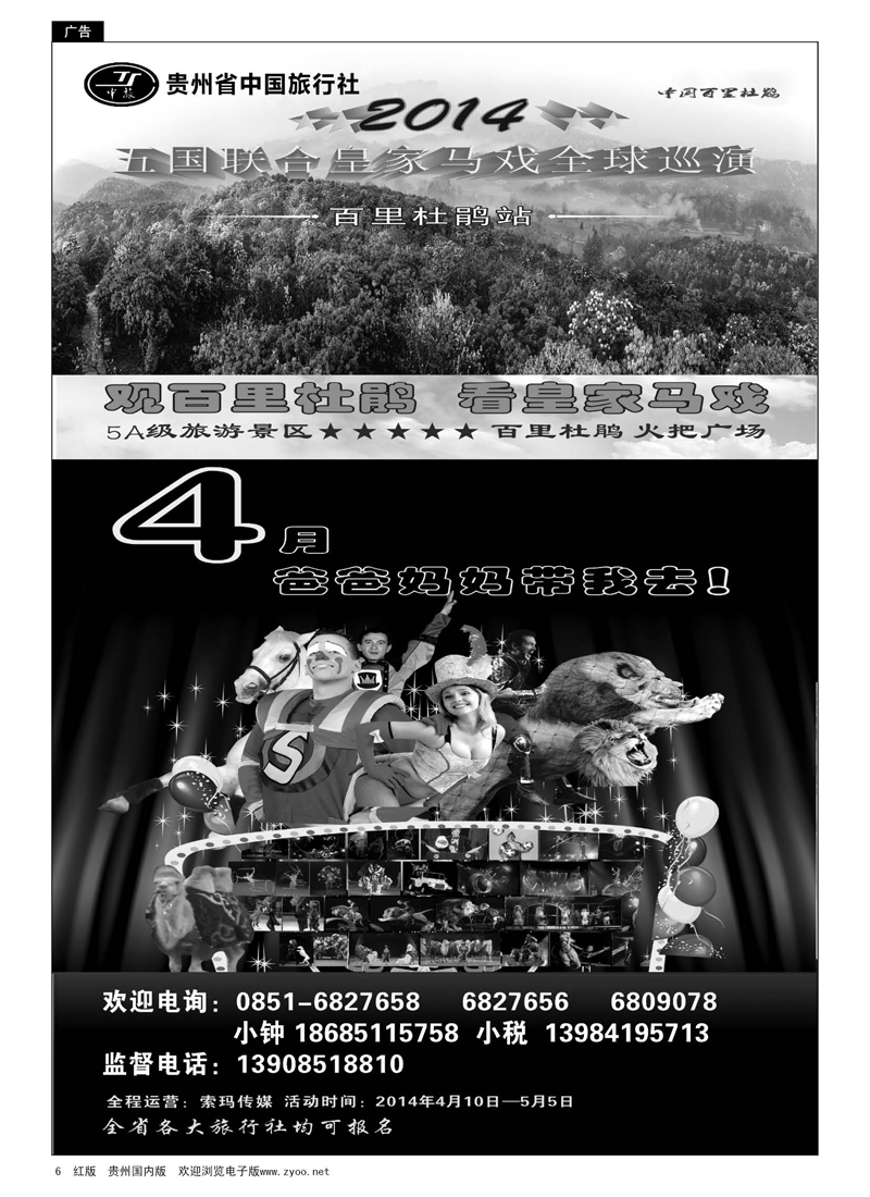 6  贵州省中国旅行社——观百里杜鹃、看皇家马戏