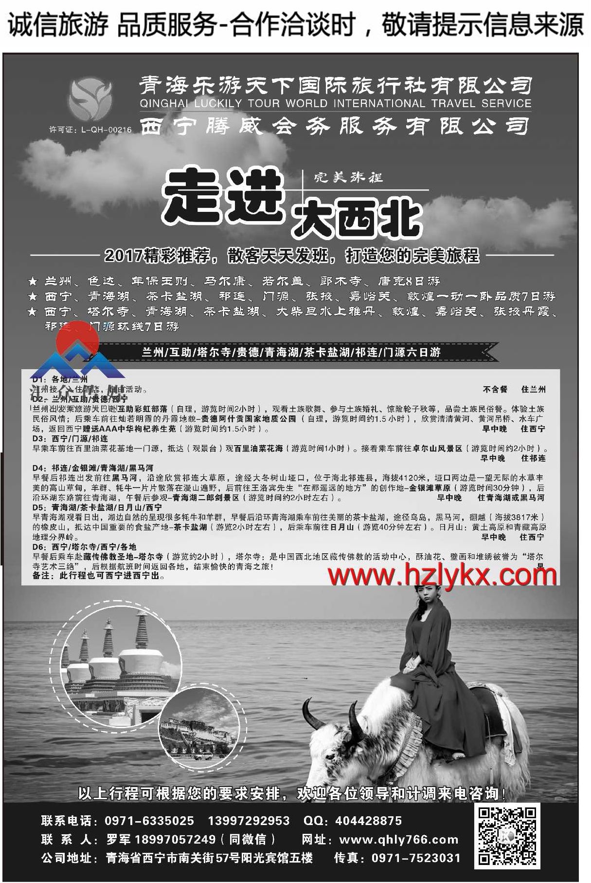 004青海乐游天下国际旅行社有限公司